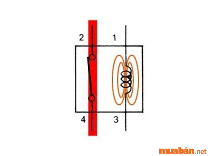 Hướng dẫn kiểm tra rơ le đề xe máy