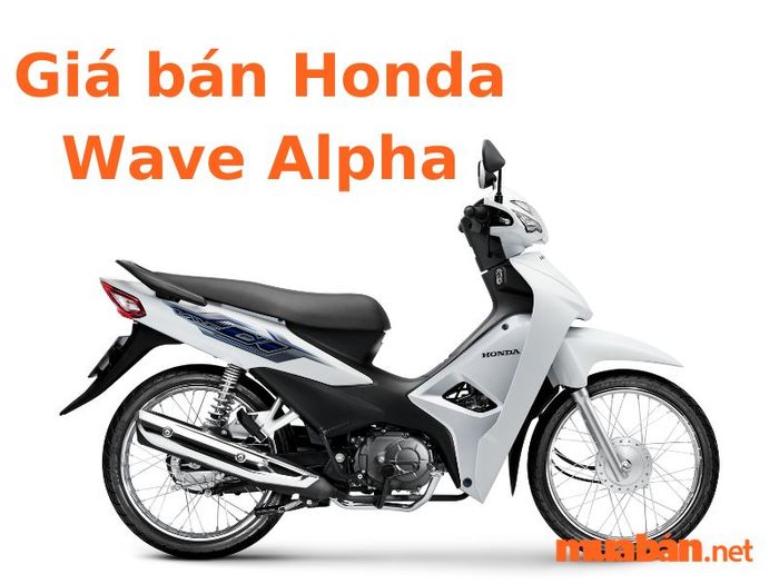 xe số cốp rộng