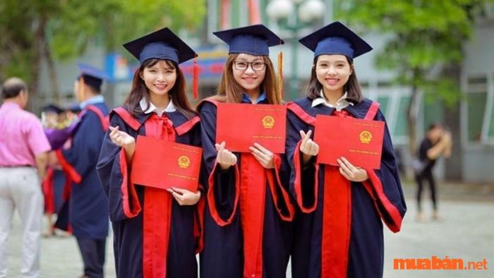 Trình độ học vấn và bằng cấp