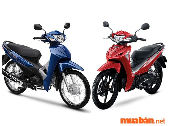 xe số cốp rộng