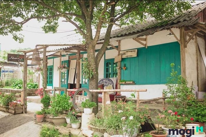 Những homestay mang phong cách này luôn tạo ra cảm giác vừa sang trọng, vừa lãng mạn, như một chuyến du ngoạn về quá khứ.