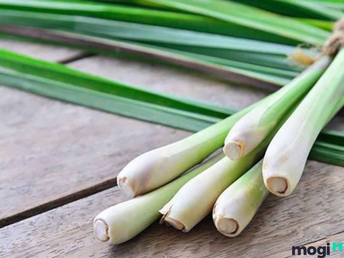 Khử mùi tủ lạnh bằng sả tươi