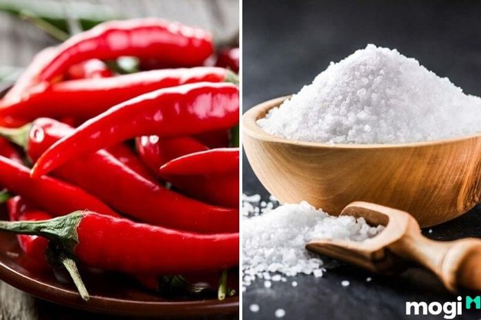 Phương Pháp Bảo Quản Ớt Tươi Với Muối