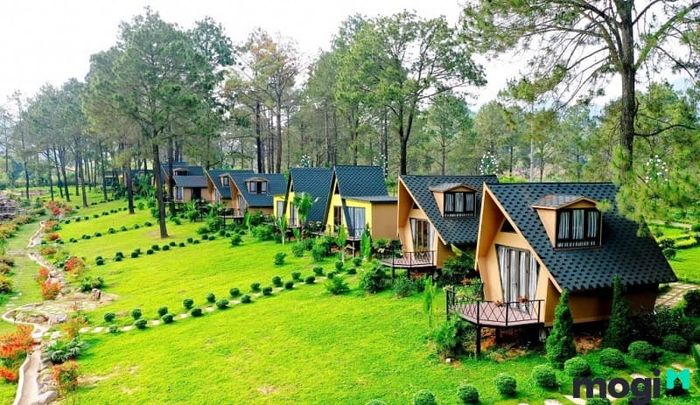 Mẫu nhà homestay với thiết kế độc đáo và khác biệt, mang đến sự lạ mắt cho du khách.