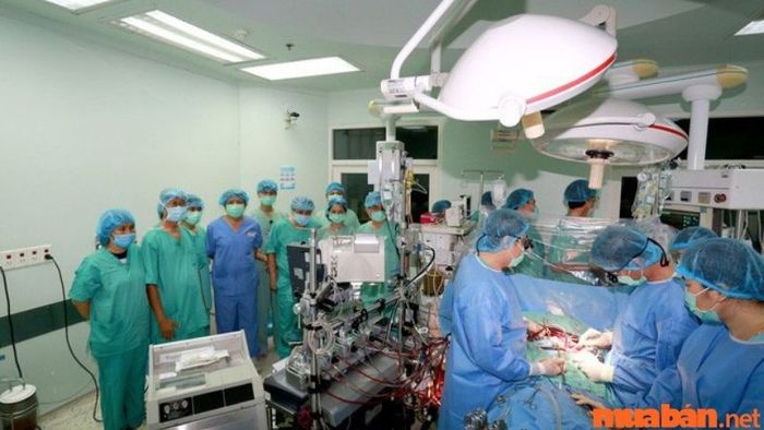 Chương trình học và thực tập – lộ trình đào tạo 6 năm