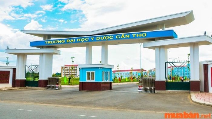 Đại học Y Dược Cần Thơ