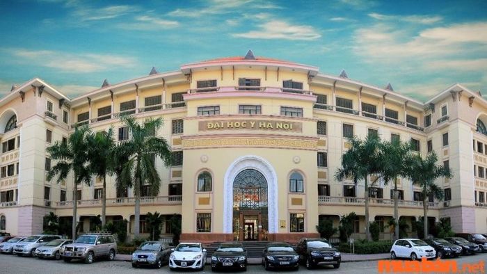 Trường Đại học Y Hà Nội