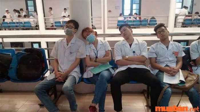 Sinh viên ngành Y phải tham gia vào rất nhiều kỳ thực tập để nâng cao kỹ năng và kiến thức chuyên môn.