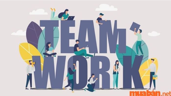 Vì Sao Làm Việc Nhóm Là Quan Trọng?