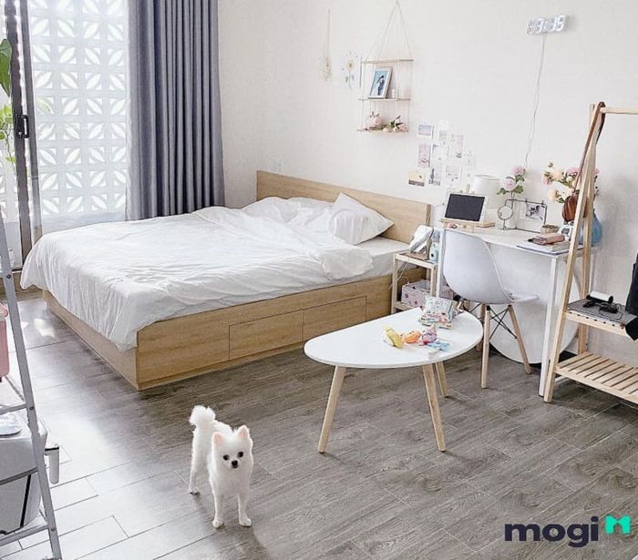 Thiết kế phòng trọ đẹp, hiện đại với không gian mở và tinh tế