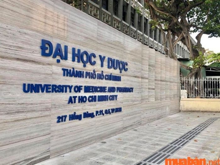 Đại học Y Dược: Một trong những trường đại học có đầu ra chất lượng nhất năm 2022