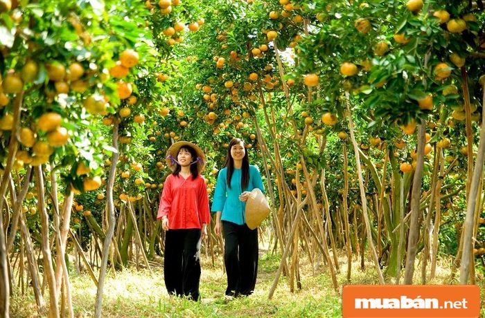 Cơ hội việc làm gia công tại nhà ở Bến Tre hiện đang phát triển như thế nào?