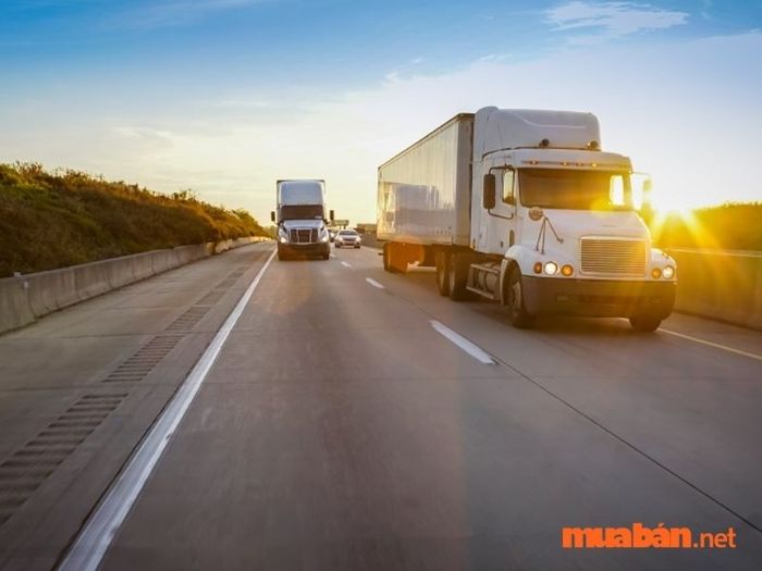 Lái xe Container đòi hỏi người lái phải có sức khỏe tốt
