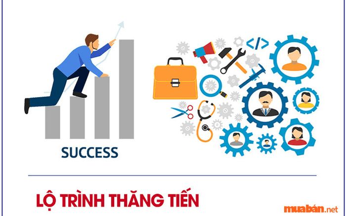 Lộ trình thăng tiến của nghề Account hiện nay là như thế nào?