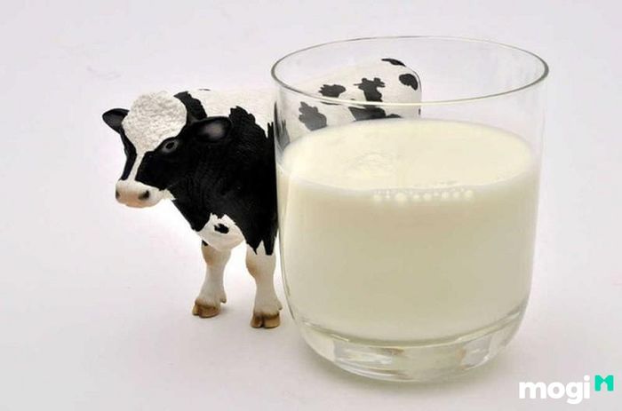 Cách tẩy sơn trên gỗ bằng sữa bò