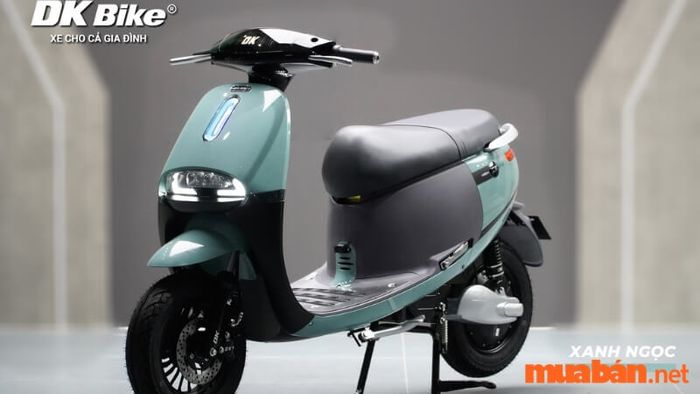 Xe điện DK Gogo New