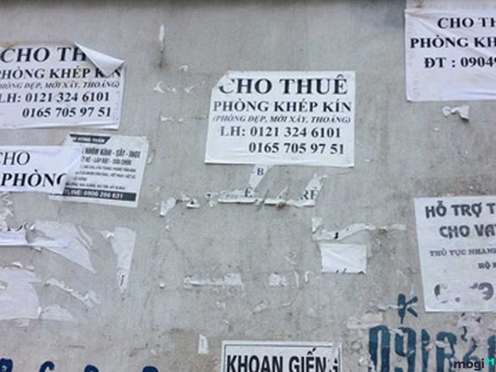 Tìm phòng trọ ảnh 2