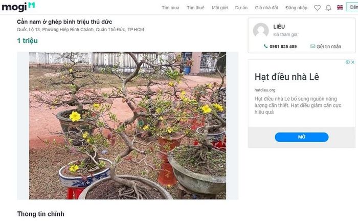 Cần nam ở ghép tại Quốc Lộ 13, Phường Hiệp Bình Chánh, Quận Thủ Đức, TP.HCM