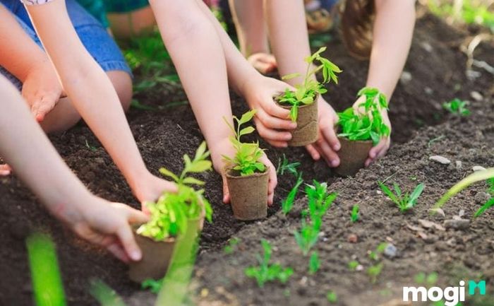 Đặc điểm nổi bật của đất thịt là khả năng thoát nước tốt, giúp cây trồng phát triển khỏe mạnh.