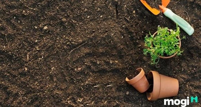 Đất thịt chủ yếu có nguồn gốc từ thiên nhiên, lấy từ các khu vực như ruộng, vườn, ao, với độ phì nhiêu cao.