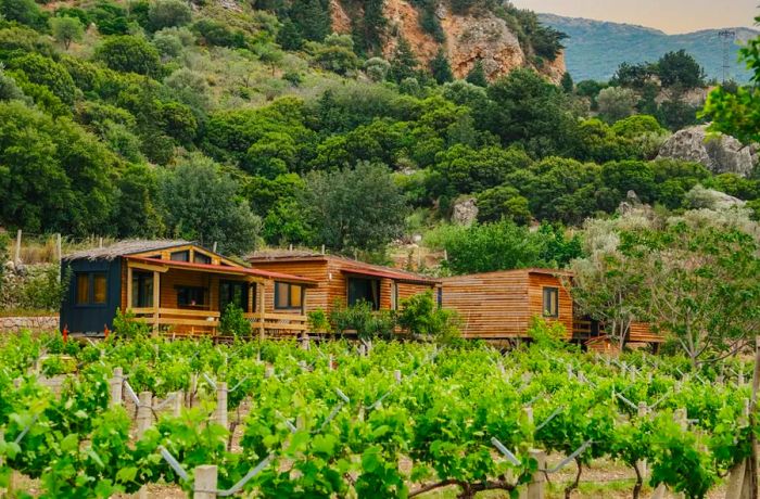 Knidia Eco Farm is one of Datça’s hidden gems, offering an authentic escape into nature.