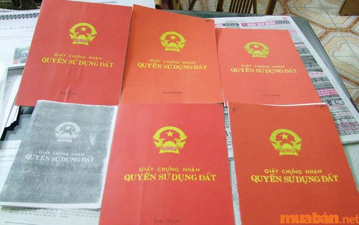 Đất DVH là gì? 3 Điều quan trọng cần lưu ý khi xây dựng cơ sở văn hóa trên đất DVH