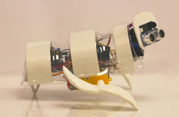 'A’seedbot' is a solar-powered seed-planting robot that charges during the day and operates at night.