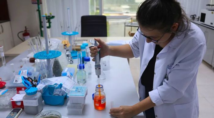 She works as a scientist at ÇAYKUR, Turkey's state-run tea producer.