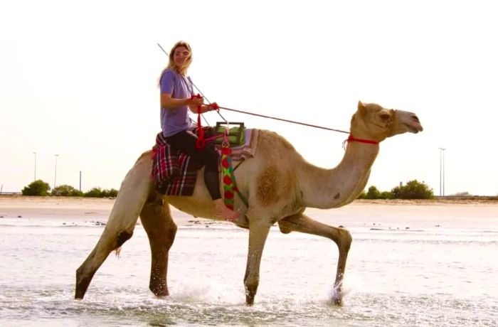 Exploring the desert on horseback.