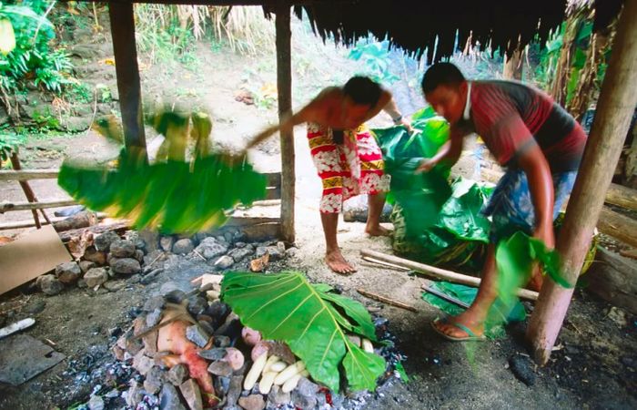 In Samoa, the umu, a traditional form of barbecue, is covered with leaves by the men as part of the cooking process.