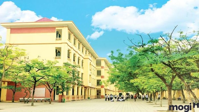Cơ sở hạ tầng và tiện ích tại Ngã tư Gò Mây – Thông tin về giáo dục