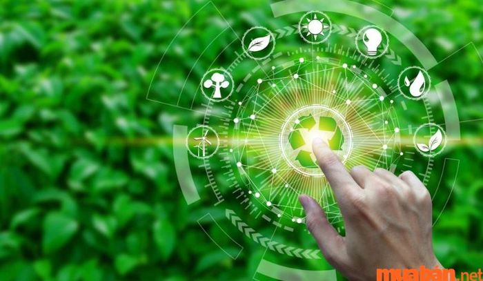 Công nghệ môi trường giúp tìm ra các phương pháp bảo vệ môi trường bền vững và hiệu quả