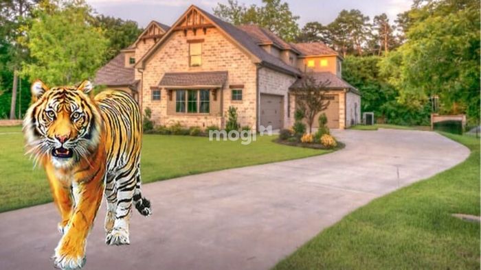 Gia chủ nam mạng tuổi Nhâm Dần 1962 sẽ hợp với hướng Tây, Tây Bắc, Tây Nam và Đông Bắc khi xây nhà.