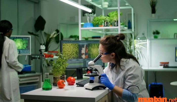 Khoa học môi trường là một công việc nghiên cứu chuyên sâu trong phòng thí nghiệm