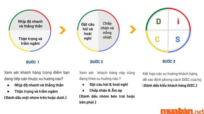 DISC trong chiến lược bán hàng hiệu quả