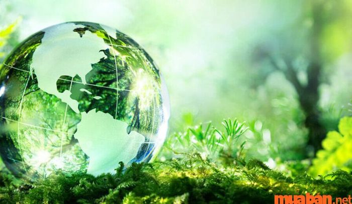 Xem ngay mức lương của ngành quản lý tài nguyên môi trường hiện tại