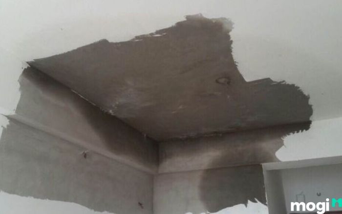 Có nhiều nguyên nhân dẫn đến việc nhà bị thấm nước hoặc dột, hãy cùng tìm hiểu một số lý do phổ biến.