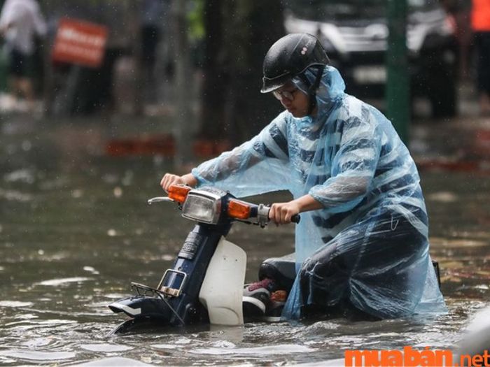 Nguyên nhân xe máy đề nổ nhưng không lên ga là do ngập nước