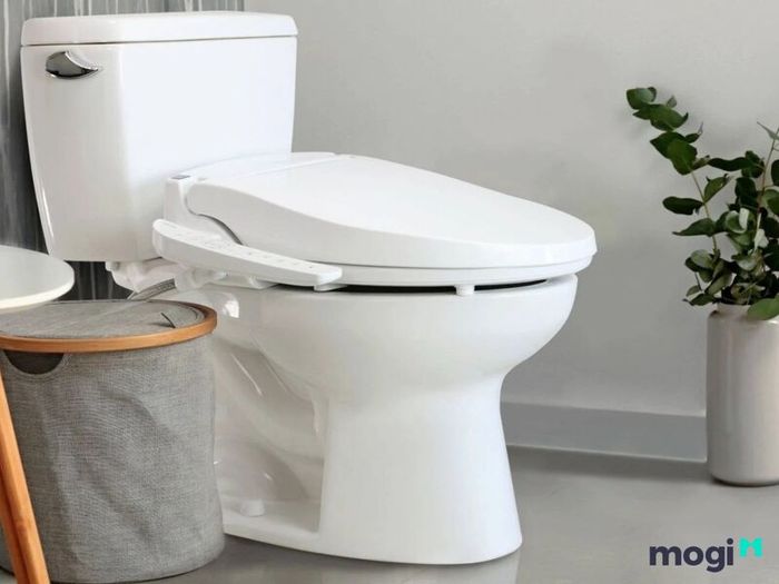 bidet là gì