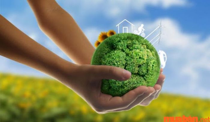 Quản lý môi trường sẽ xây dựng các chiến lược bảo vệ và phục hồi môi trường tự nhiên, đồng thời duy trì sự cân bằng sinh thái và chất lượng cuộc sống.