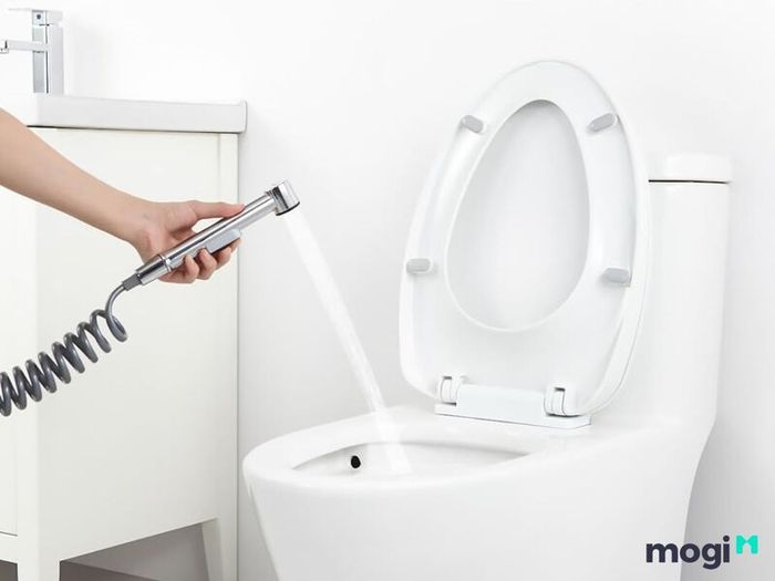 Bidet là gì?