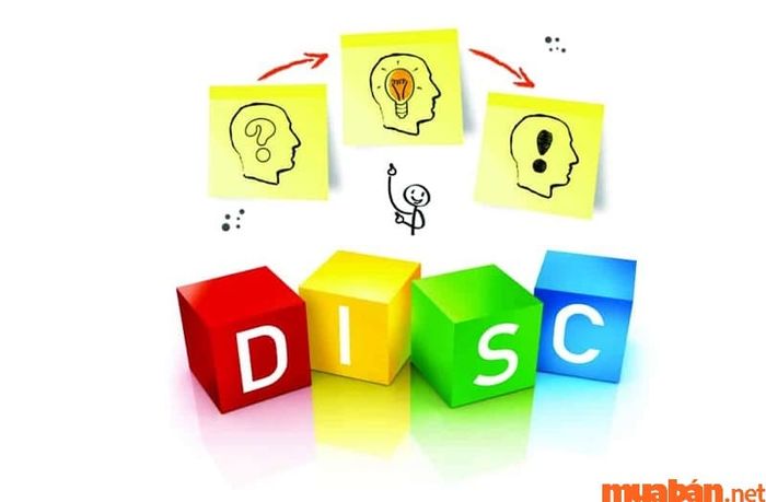 DISC trong chiến lược bán hàng hiệu quả