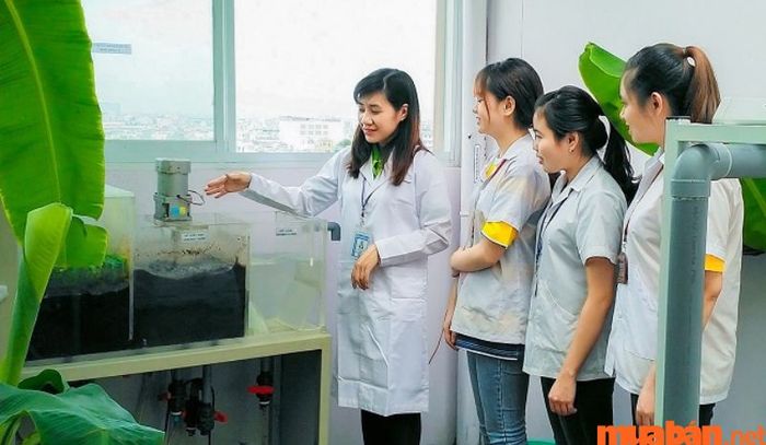 Ngành học này tập trung vào nghiên cứu tác động của các hoạt động con người đến sự ổn định và vận hành của hệ sinh thái và môi trường.