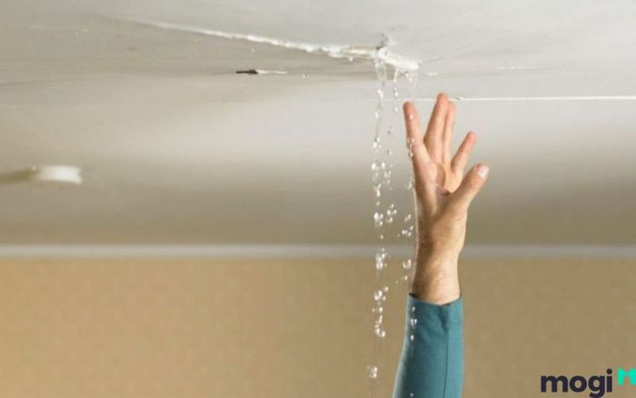 Những yếu tố nào khiến ngôi nhà của bạn bị thấm nước?