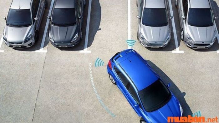 Trong kỳ thi sát hạch lái xe, thí sinh chỉ cần thực hiện bài lùi xe vào chuồng, nhưng khi lái xe thực tế, sẽ gặp nhiều tình huống lùi xe phức tạp hơn, đòi hỏi tài xế phải luyện tập và chuẩn bị sẵn sàng xử lý.