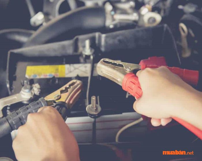 Bảo dưỡng bình ắc quy không kém phần quan trọng so với việc sạc đúng cách