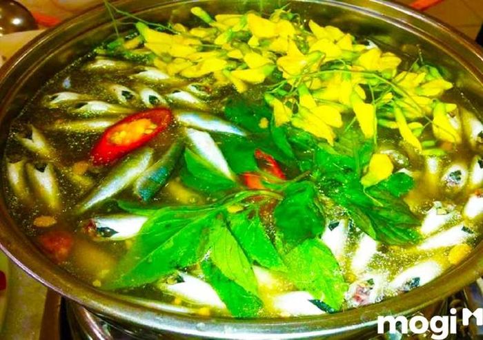 Lẩu cá linh bông điên điển là một món ăn đặc biệt của miền Tây, với hương vị độc đáo và hấp dẫn, chắc chắn sẽ làm hài lòng mọi thực khách.