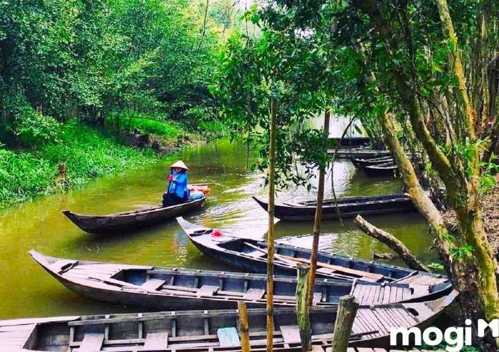 Chèo thuyền tại Gáo Giồng đem lại cảm giác thanh thản và bình yên, giúp bạn hòa mình vào không gian thiên nhiên tươi đẹp.