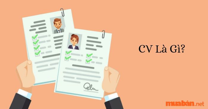 CV là gì?