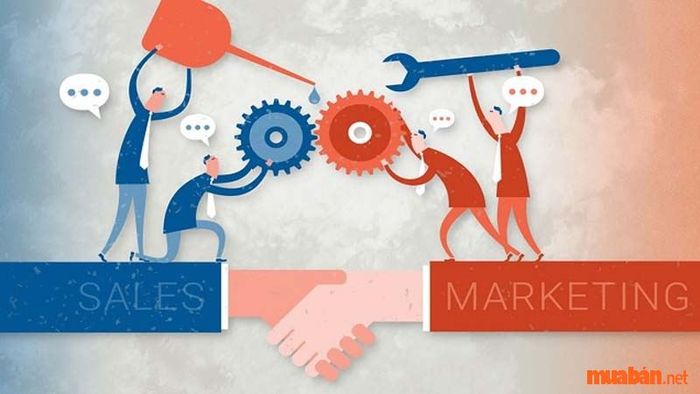 Nêu ra sự khác biệt giữa Marketing và Sale